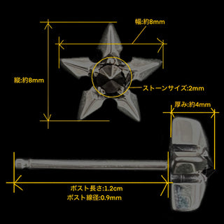 ゴシックスターSピアス　CZブラック